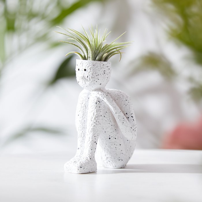 Light Muse Air Plant Pot Moonpig